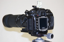 Picture