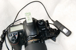 Picture